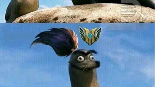 狗子