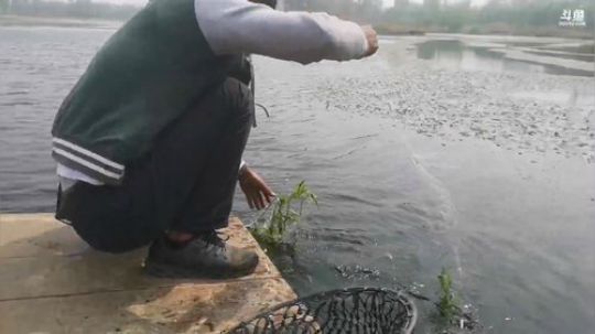 龙马精神之神笔马龙发布了一个斗鱼视频2019-04-08