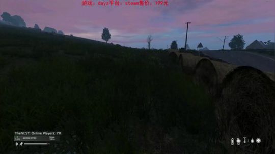 dayz更新喽。 2019-04-07 17点场