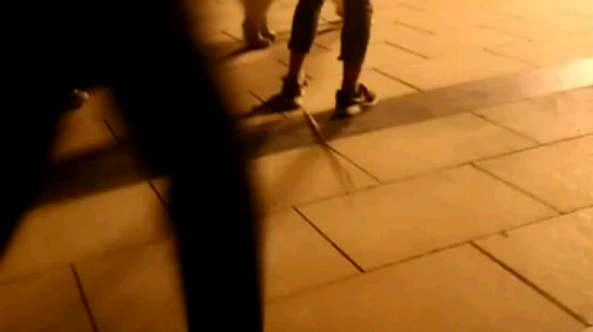 我说它有二十几个兄弟是真的