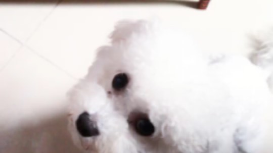 南舞丶村里最靓的仔发布了一个斗鱼视频2019-04-08