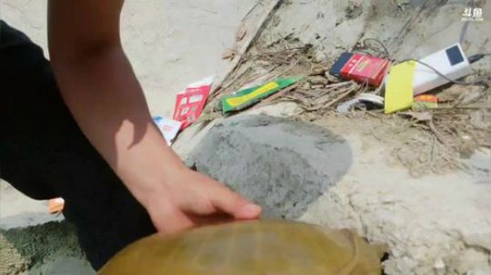 带着大哥二哥钓鱼。 2019-04-08 12点场