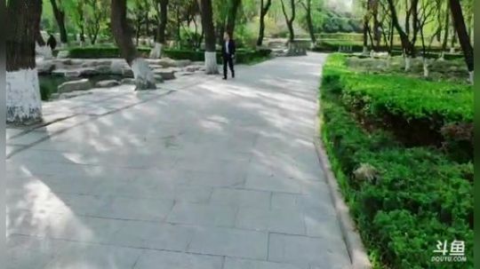 【刀塔自走棋】今天也是白给的一天呢 2019-04-05 08点场