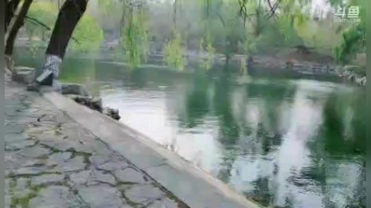 【刀塔自走棋】今天也是白给的一天呢 2019-04-05 08点场