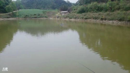 带着大哥二哥钓鱼。 2019-04-08 11点场