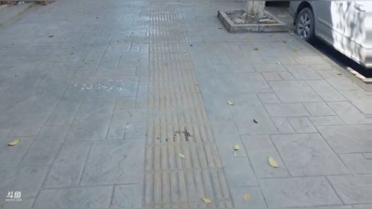 今天是个好日子！ 244548 2019-04-09 15点场