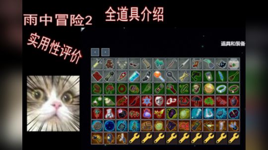 雨中冒险2 全道具介绍+实用性评价