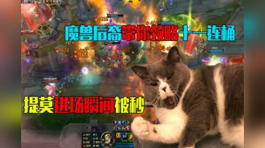 英雄联盟：魔兽后裔带你领略十一连桶，提莫进场瞬间被秒