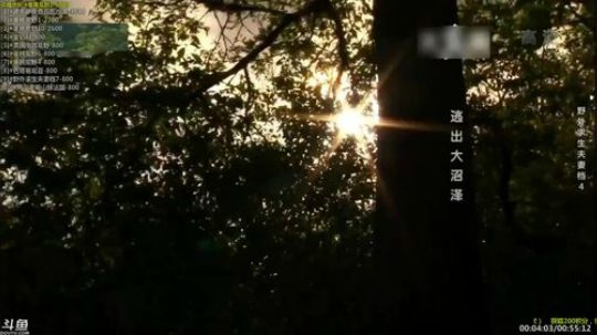 护法惊丶发布了一个斗鱼视频2019-04-10