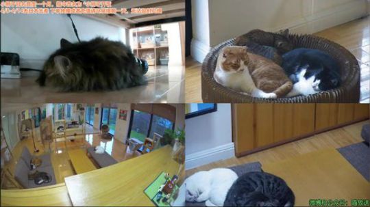 HHHISHHH发布了一个斗鱼视频2019-04-10