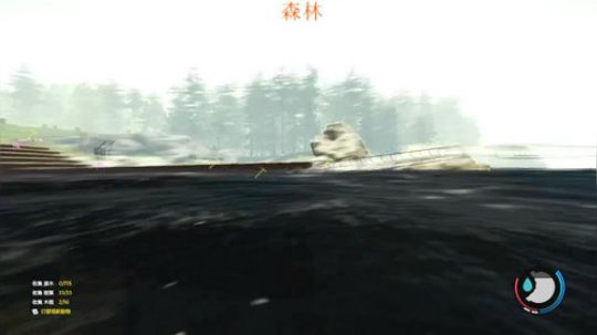 森林求带求仙人指路 2019-04-09 01点场