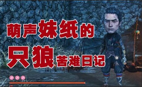 波波菜的吐槽（受苦）日记