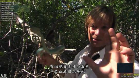 户外遛狗王飞哥发布了一个斗鱼视频2019-04-11