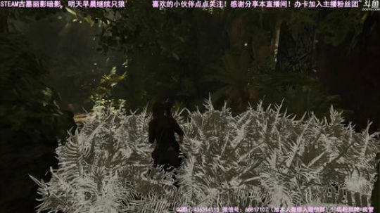 【津门坤哲】古墓丽影11暗影 2019-04-11 01点场