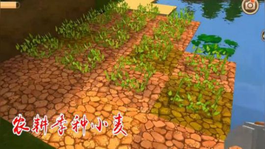 迷你世界15：又到了农耕季节，墨渊在家园种了一大片小麦