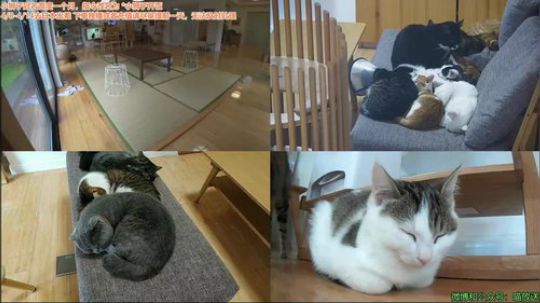 HHHISHHH发布了一个斗鱼视频2019-04-11