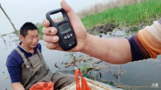 湖区收大地笼 2019-04-11 13点场