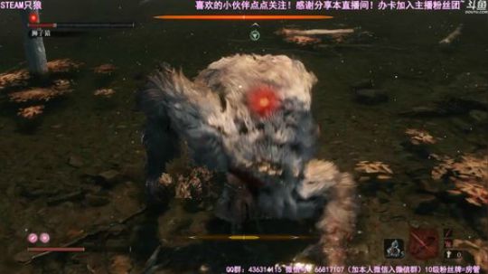 【津门坤哲】犹豫就会白给 2019-04-11 10点场