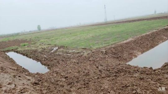 湖区收大地笼 2019-04-11 11点场