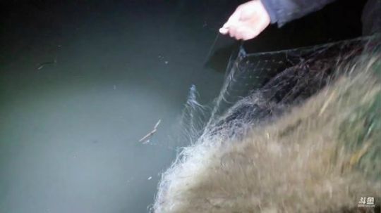 湖区收大地笼 2019-04-11 20点场