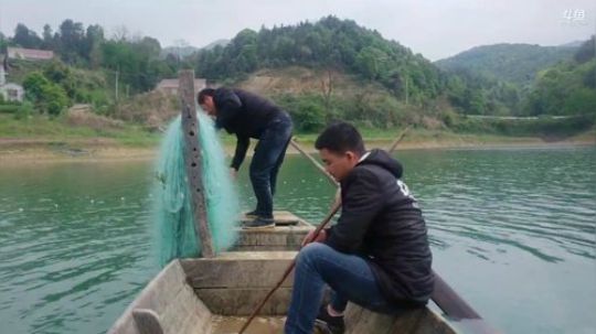 水库生活90斤鱼回家。 2019-04-12 14点场