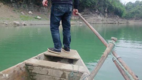 水库生活90斤鱼回家。 2019-04-12 12点场