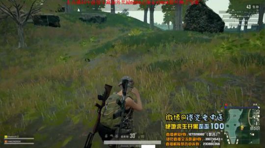 【错觉老中医】鲨小鱼