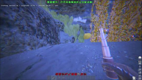新出的海底世界  很美