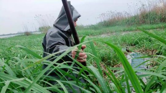 八百亩放地笼 2019-04-09 16点场