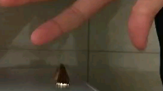 魔术的直播间