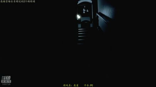 逍遥：恐怖游戏串烧！肾上腺素飙升的直播！ 2019-04-12 13点场