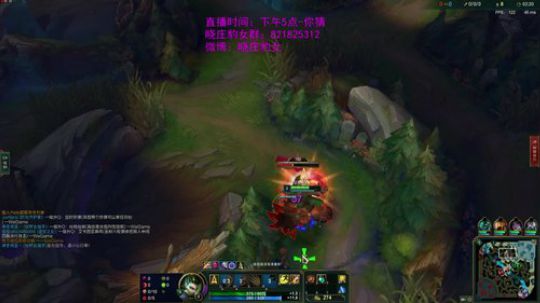 豹女：我王者了，你呢？月底坚决不光头 2019-04-13 03点场