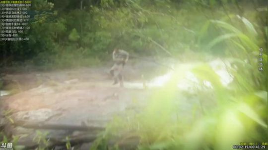 户外遛狗王飞哥发布了一个斗鱼视频2019-04-13