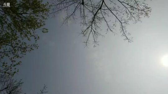龙马精神之神笔马龙发布了一个斗鱼视频2019-04-13