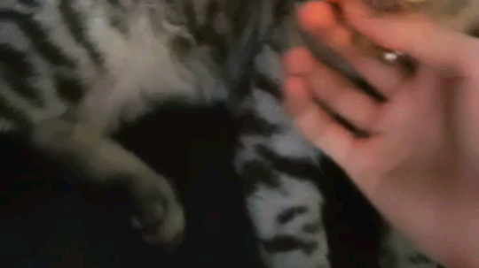 啊啊啊啊啊啊 咬我干啥