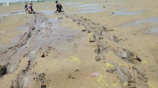 摸鱼比赛搞起 2019-04-12 12点场