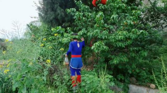 登月团丶离去发布了一个斗鱼视频2019-04-14