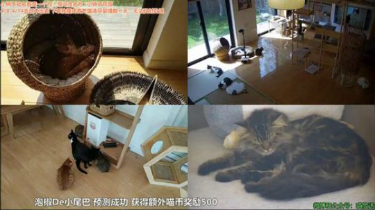 HHHISHHH发布了一个斗鱼视频2019-04-13