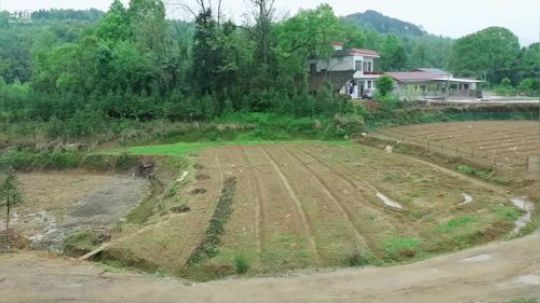 搭建棚子放地笼。 2019-04-14 12点场