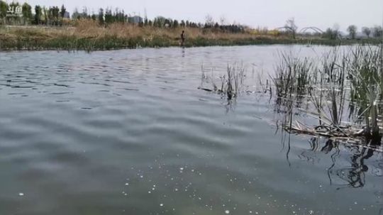 哆啦爱梦梦发布了一个斗鱼视频2019-04-14