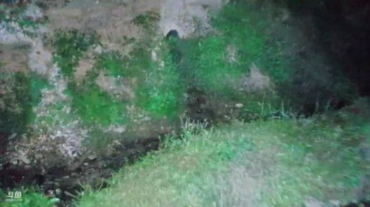 搭建棚子放地笼。 2019-04-14 20点场