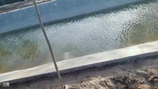 摸鱼比赛搞起 2019-04-12 16点场