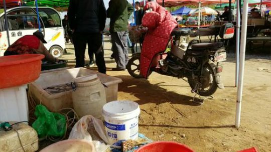 我本善良72发布了一个斗鱼视频2019-04-14