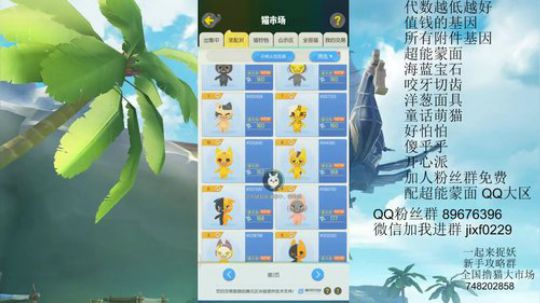内测问题解答 今天一起配猫 2019-04-14 11点场