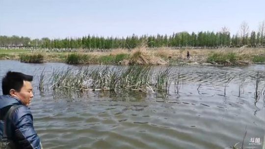 哆啦爱梦梦发布了一个斗鱼视频2019-04-14