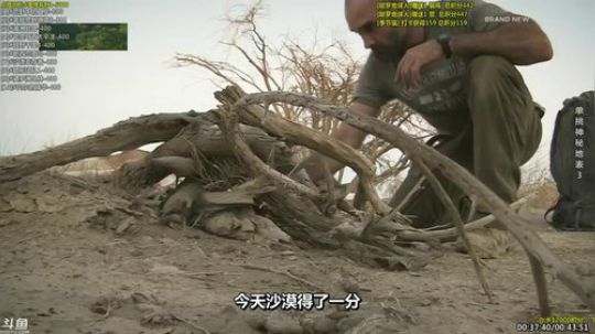 户外遛狗王飞哥发布了一个斗鱼视频2019-04-15