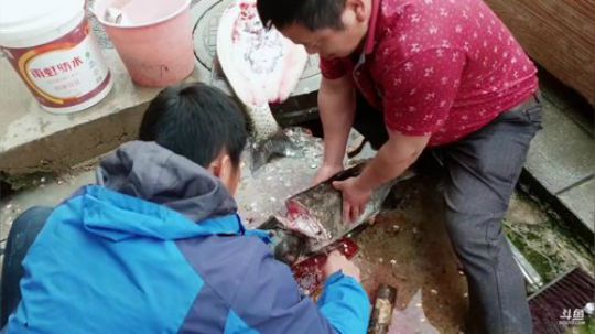 水库还债的一天。 2019-04-15 08点场