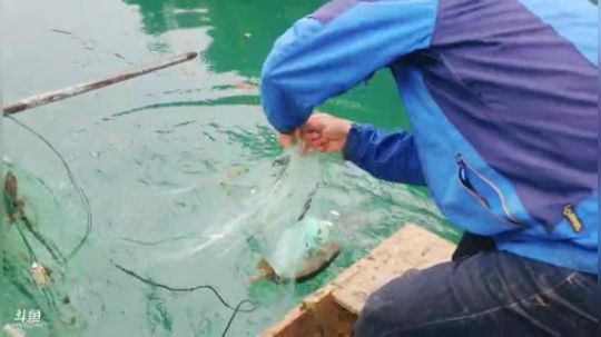 水库还债的一天。 2019-04-15 16点场