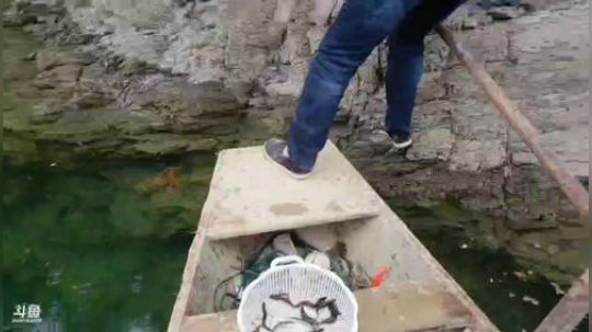 龙马精神之神笔马龙发布了一个斗鱼视频2019-04-15