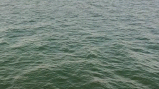 lzzzzzzzzzzzzzzzzzzzzzhhhhhhhh发布了一个斗鱼视频2019-04-16